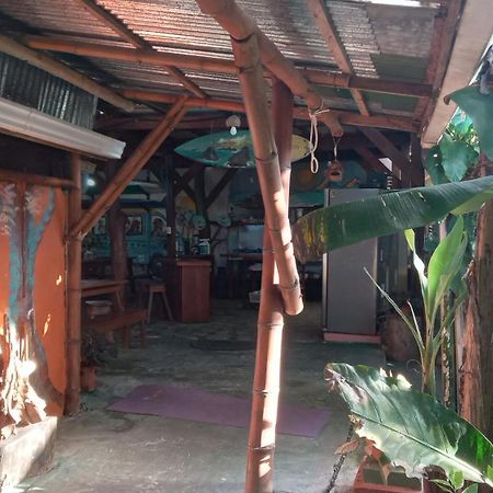 Osa Surf House Hotell Puerto Jiménez Eksteriør bilde
