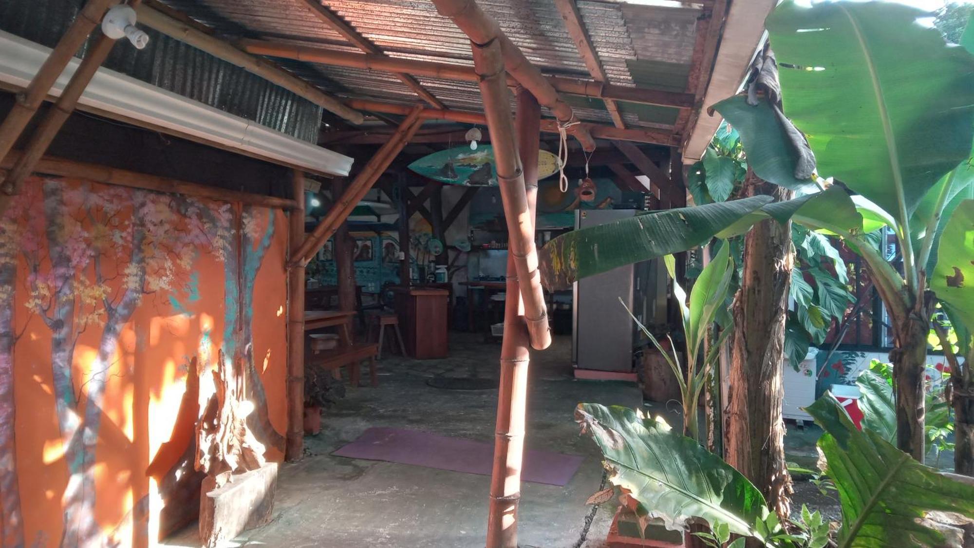 Osa Surf House Hotell Puerto Jiménez Eksteriør bilde